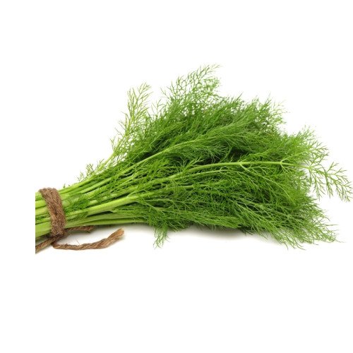 Aneth Frais