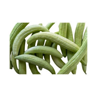 Concombre Arménien (Feggous)