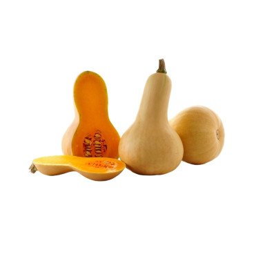 Courge Butternut