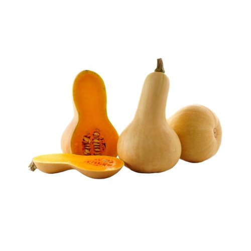 Courge Butternut