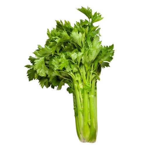 Céleri Feuilles