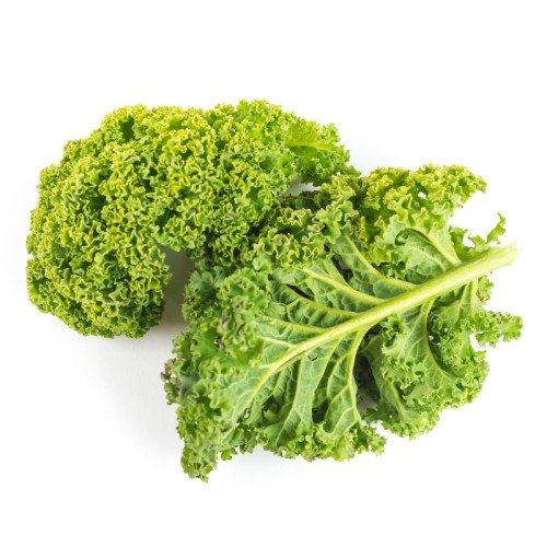 Chou Kale Frisé Vert