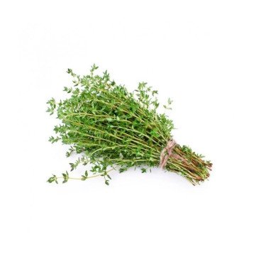 Thym Citronné Frais