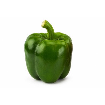 Poivron California Wonder Vert