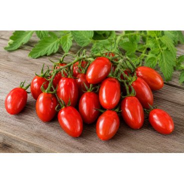 Tomate Cerise Allongée