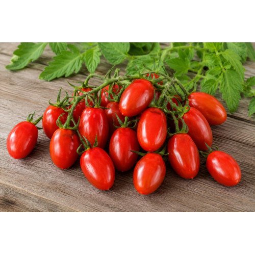 Tomate Cerise Allongée