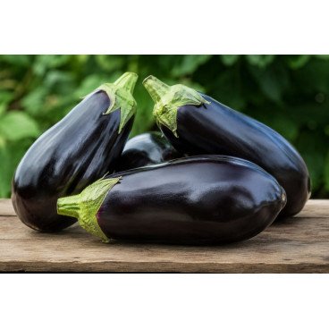 Aubergine Black Beauty