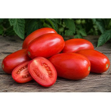 Tomates Roma