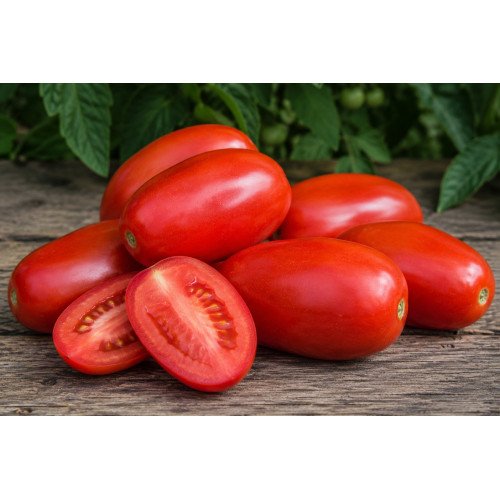 Tomates Roma