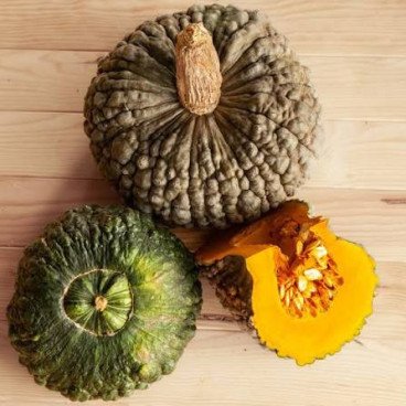 Courge Marina Di Chioggia