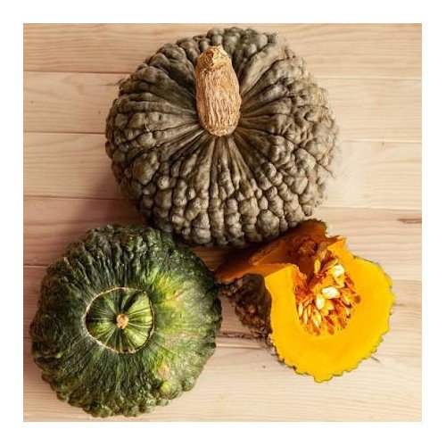 Courge Marina Di Chioggia