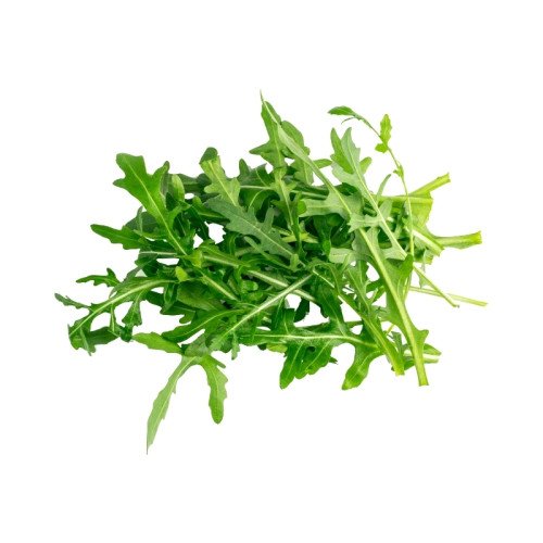 Roquette Cultivée