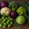 Légumes Fleurs