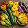 Légumes Fruits