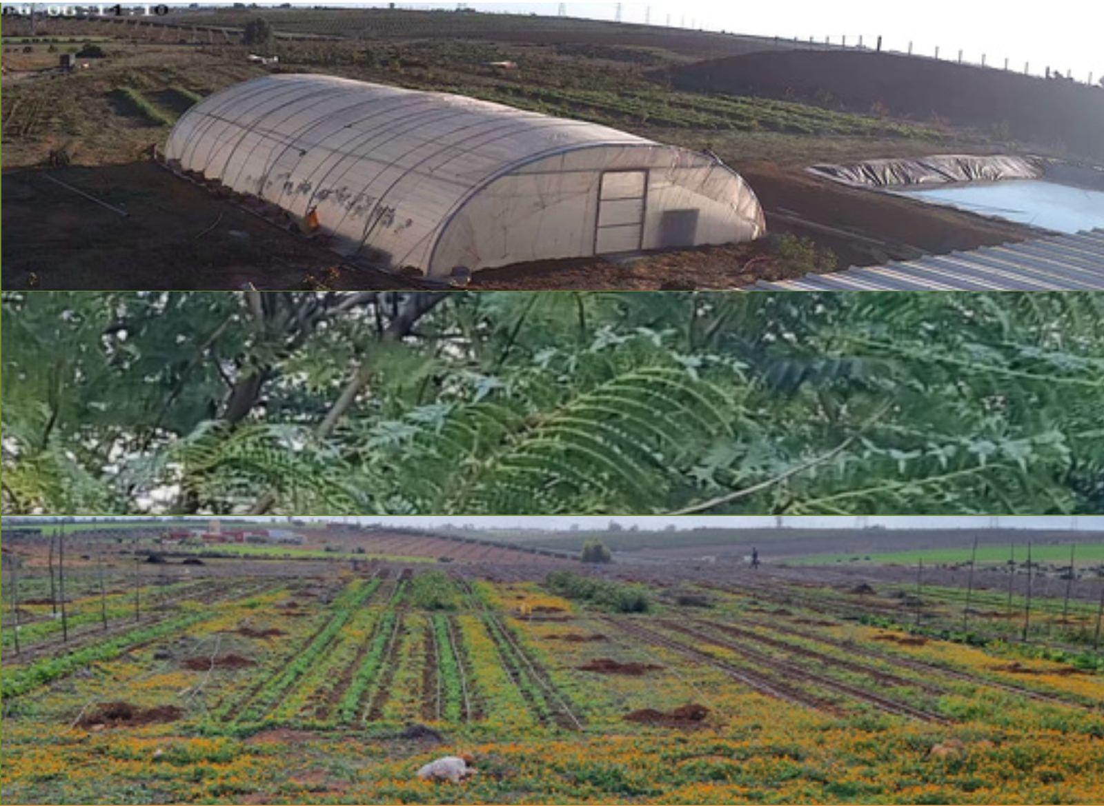 Notre Ferme