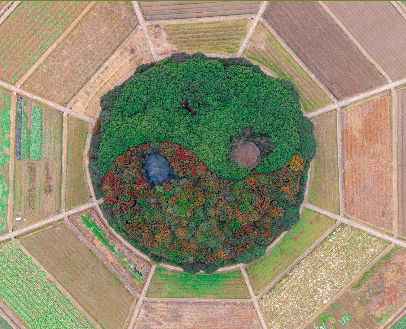Permaculture